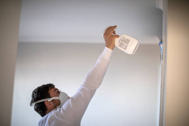 Mold Removal and Inspection in Ama, LA