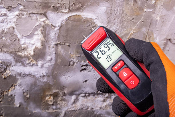Best Affordable Mold Removal  in Ama, LA