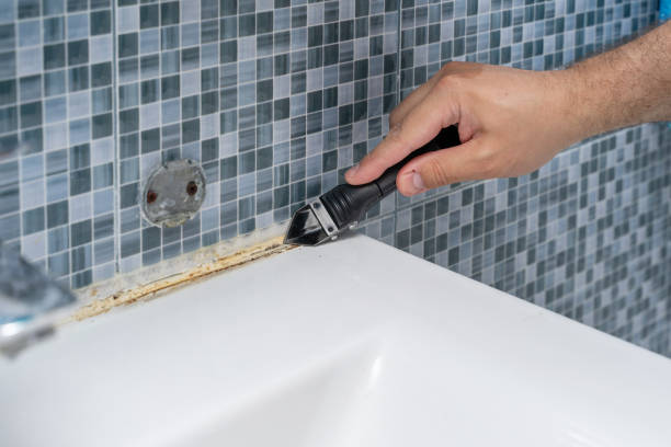 Best Mold Removal Company Near Me  in Ama, LA