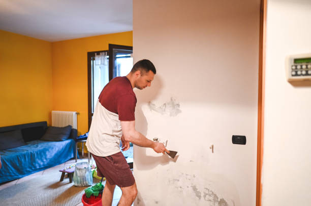 Best Mold Removal Near Me  in Ama, LA