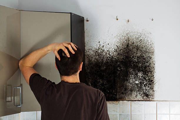 Best Mold Cleaning Services  in Ama, LA